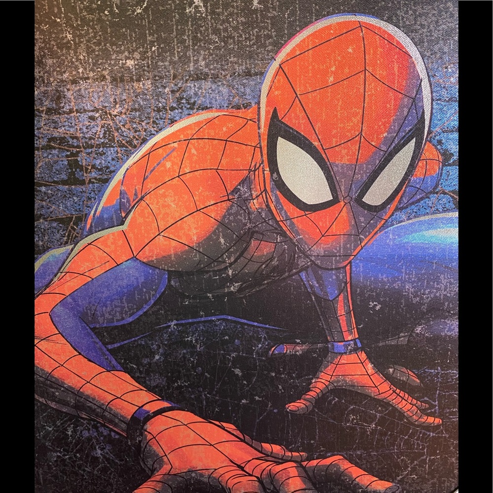 Spider-Man Picture Frame